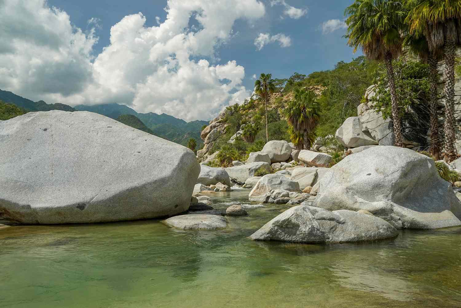 Discover Los Cabos: 20 Unforgettable Escapes Beyond the Ordinary 16
