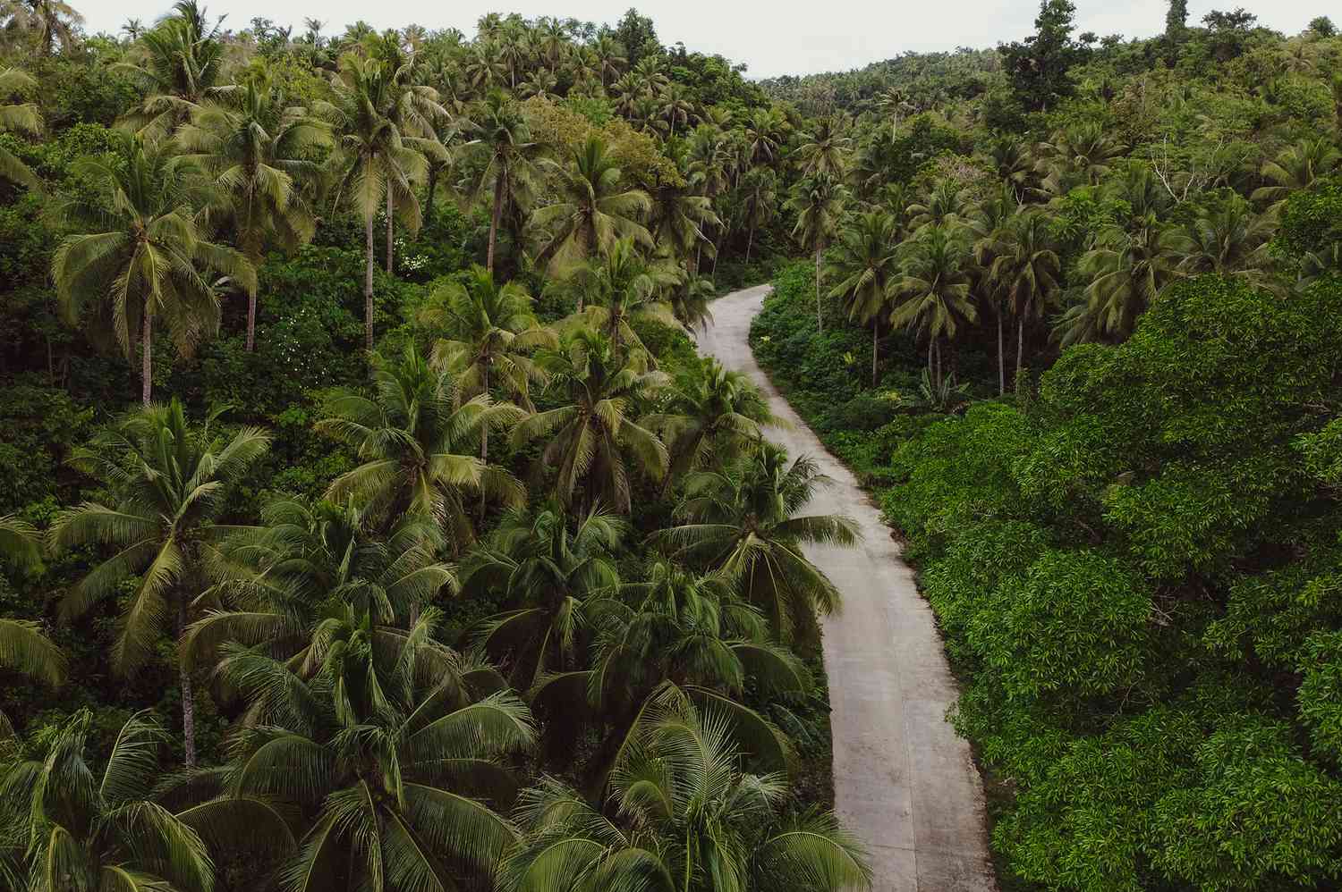 **The Savvy Globetrotter's Guide: Unlocking Global Adventures on a Curator's Budget** 13