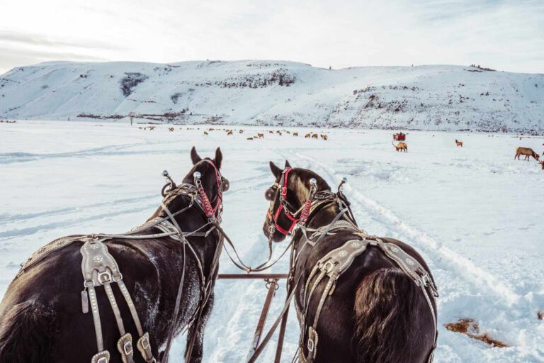 Whispers of Winter: Unlocking America's Most Exclusive Fireside Escapes 1