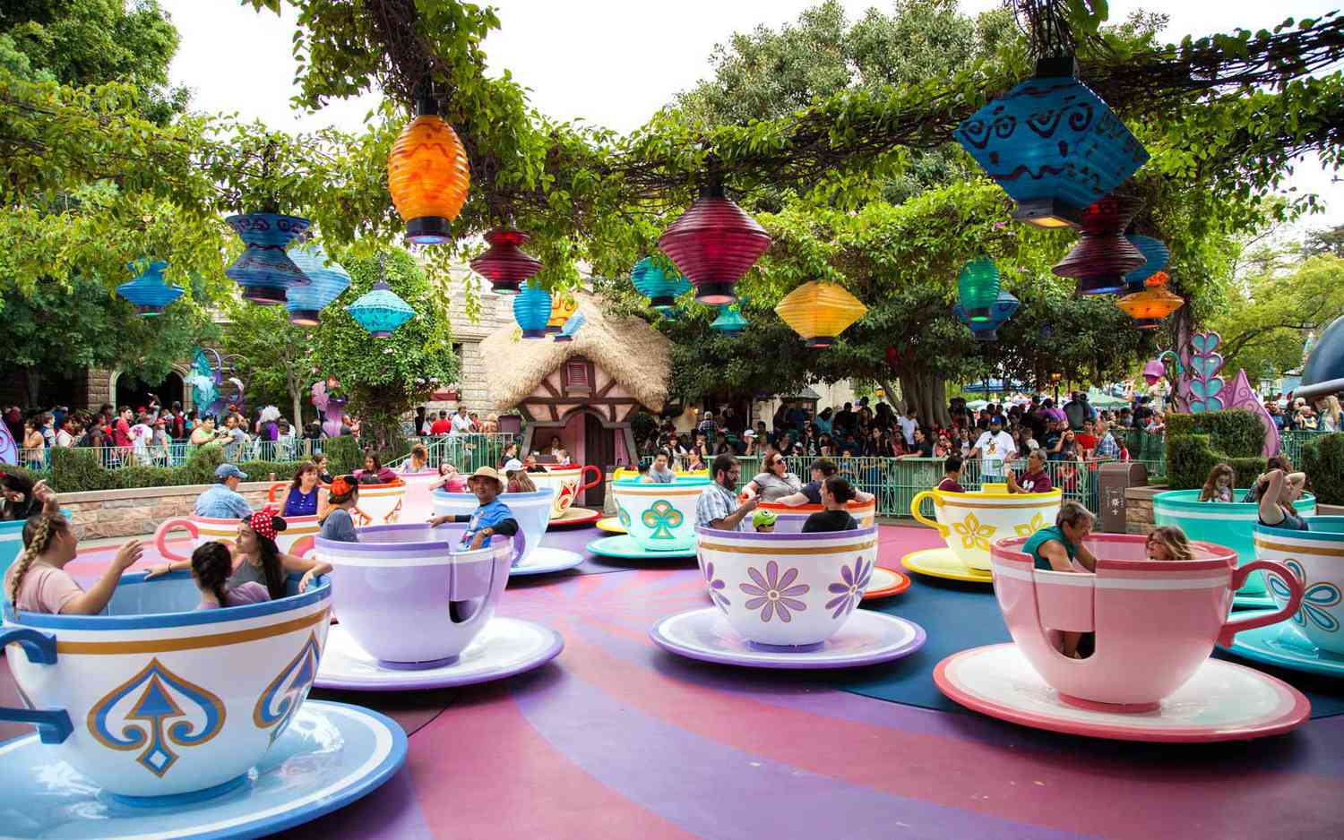 Beyond the Gates: Disneyland's Elite Thrills, Unveiled. 36