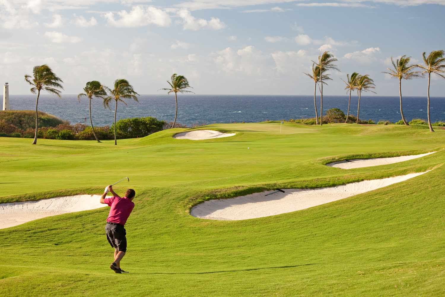 Discover Los Cabos: 20 Unforgettable Escapes Beyond the Ordinary 20