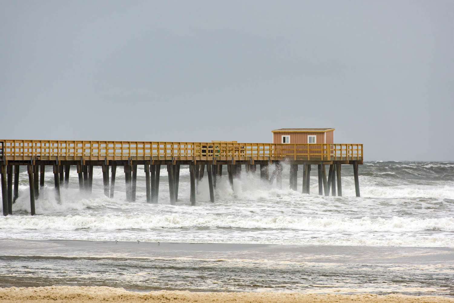 Ocean Breezes & Boardwalk Dreams: Discover New Jersey's Most Exclusive Coastal Escapes 11
