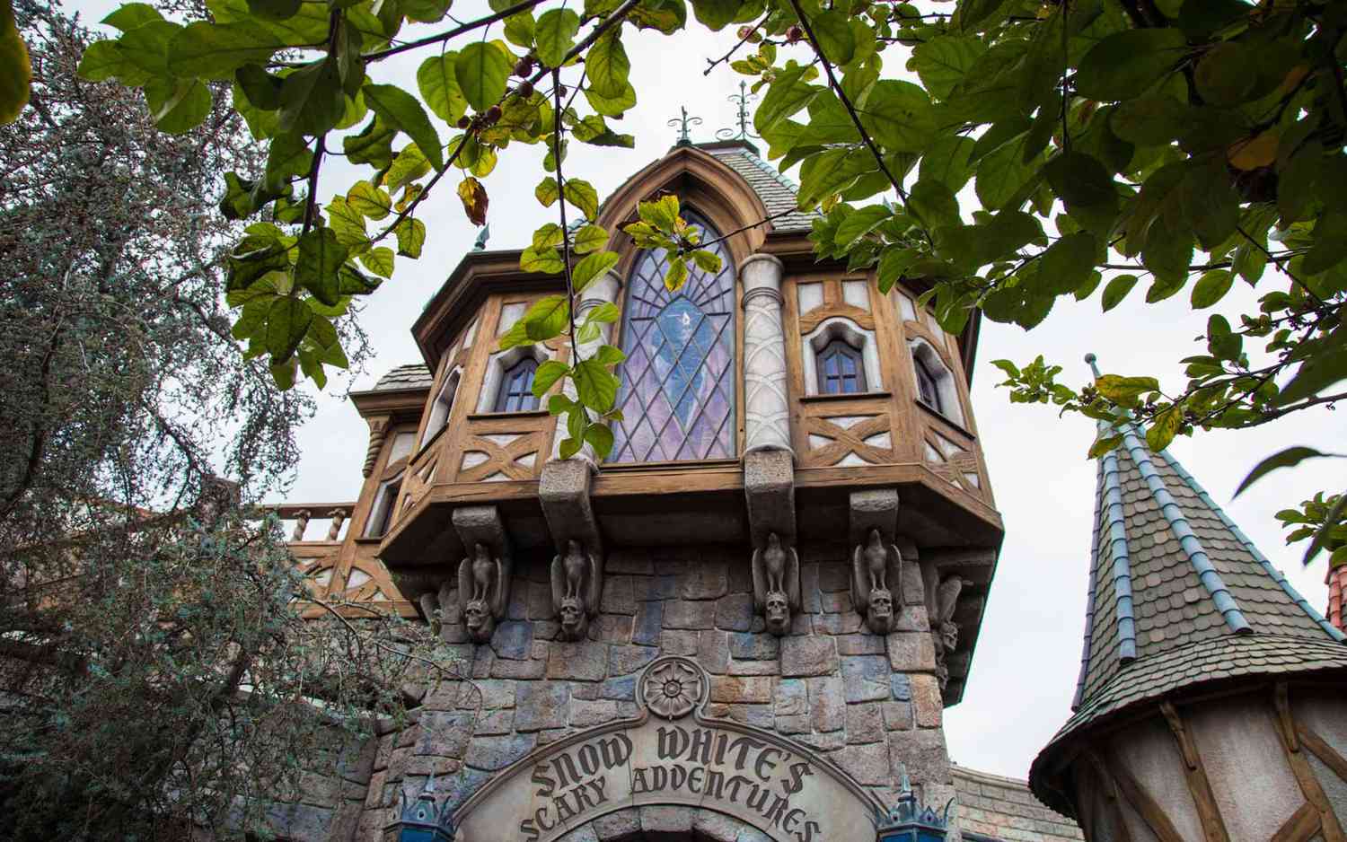 Beyond the Gates: Disneyland's Elite Thrills, Unveiled. 52