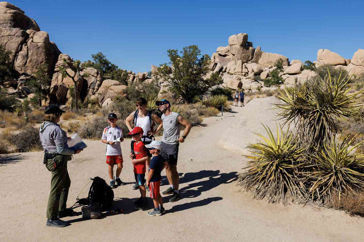 Joshua Tree: Where Desert Minimalism Meets Celestial Grandeur 14