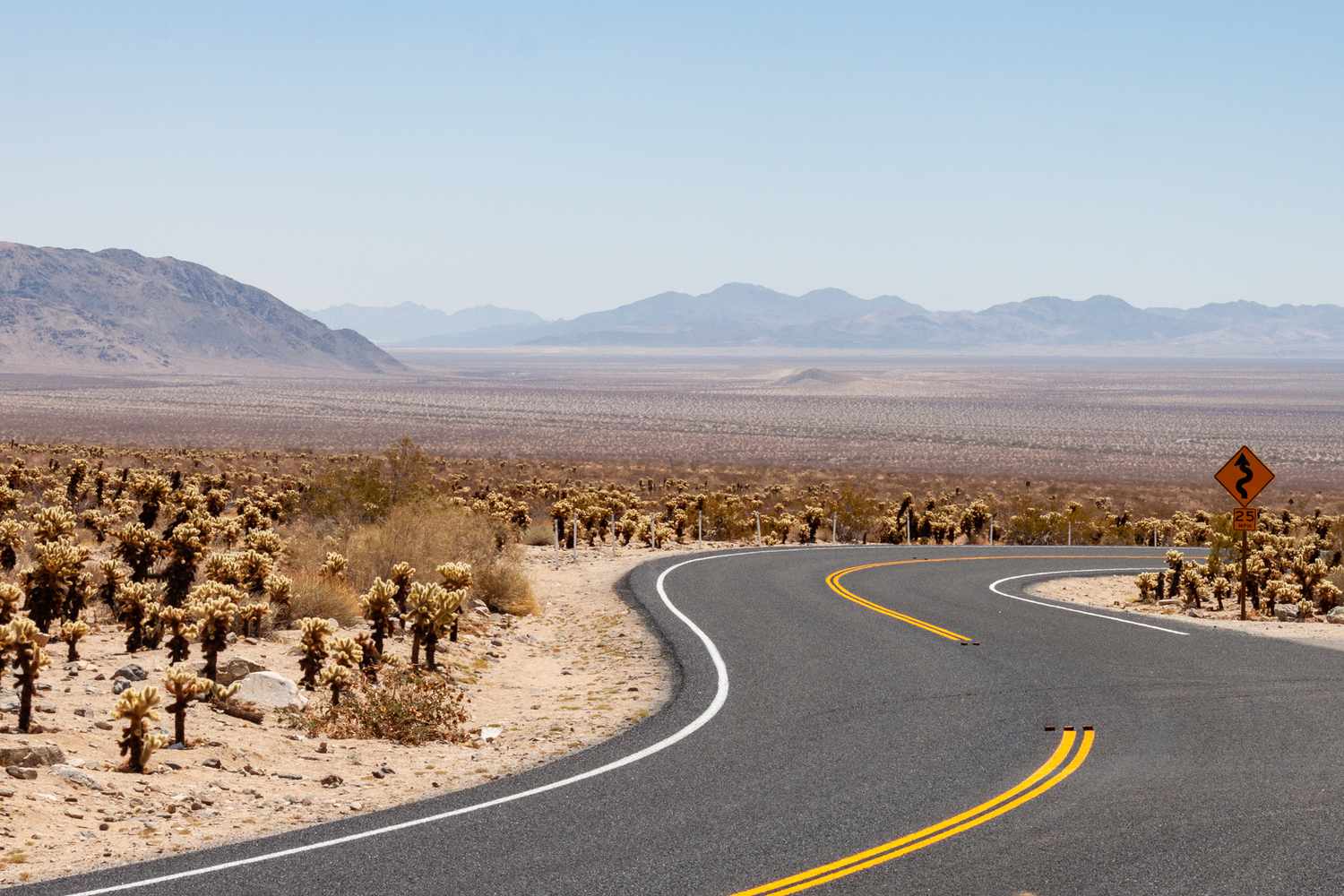 Joshua Tree: Where Desert Minimalism Meets Celestial Grandeur 12
