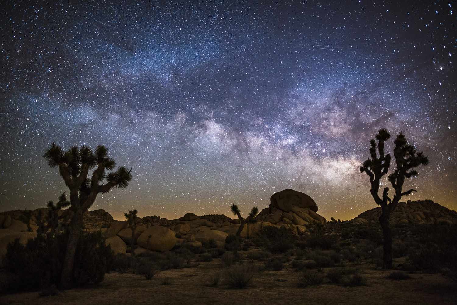Joshua Tree: Where Desert Minimalism Meets Celestial Grandeur 13