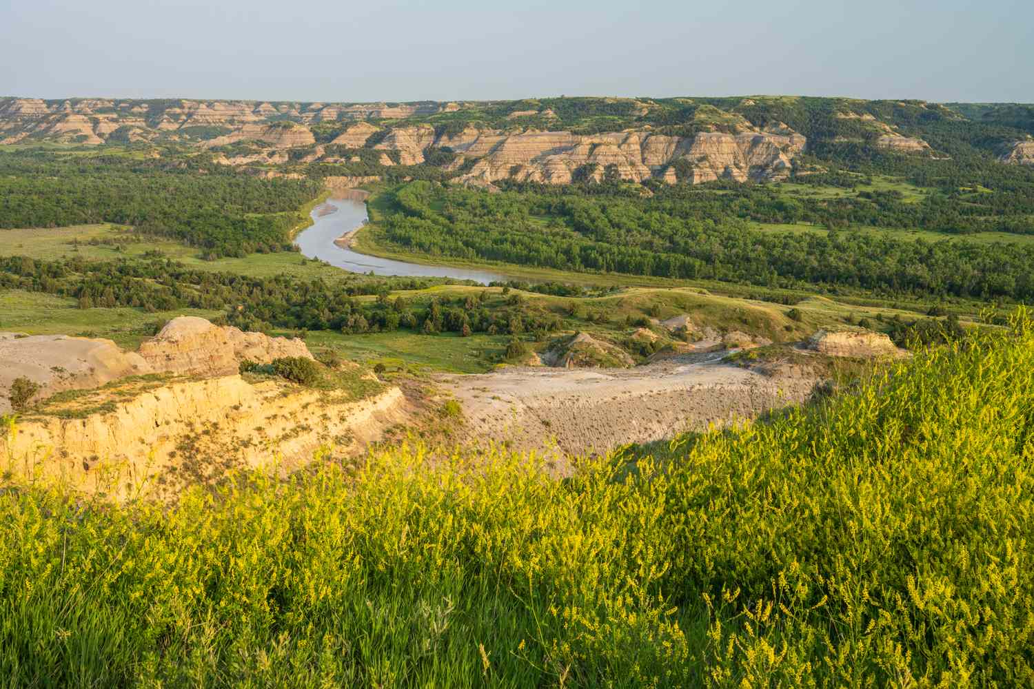 Dakota's Untamed Crown: A Sojourn into Theodore Roosevelt's Majestic Wilderness 9