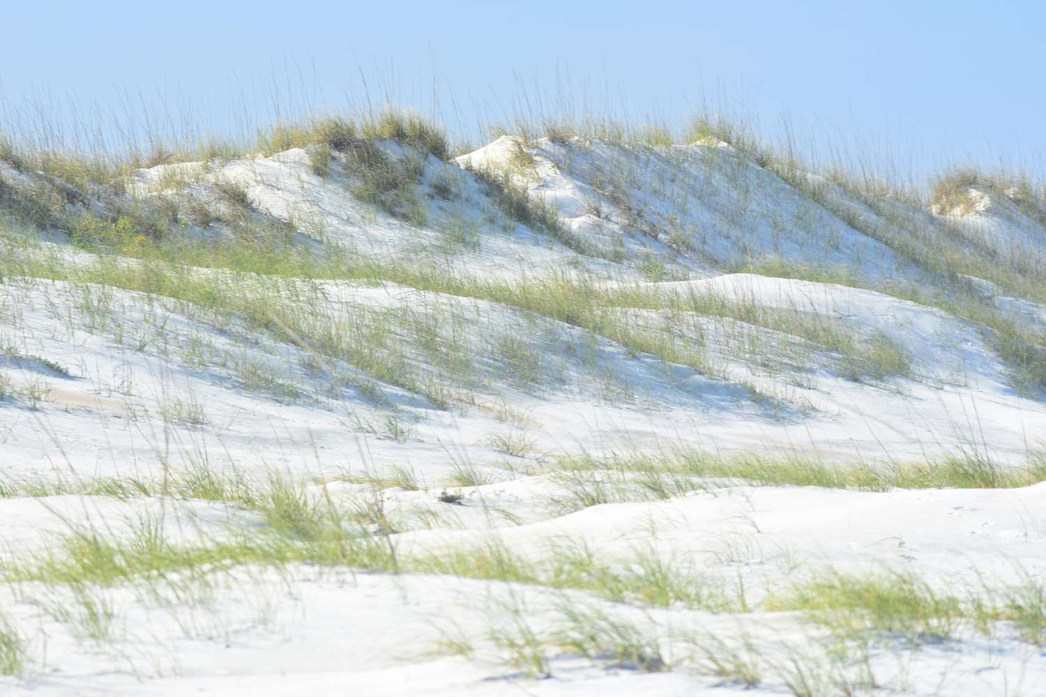 St. Augustine: Unlocking America's Oldest City's Most Coveted Experiences 28