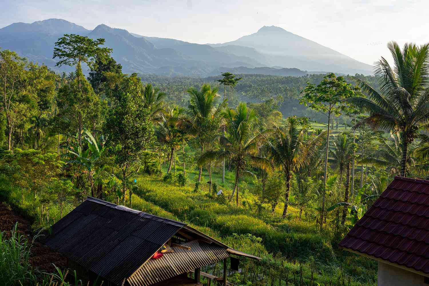 **The Savvy Globetrotter's Guide: Unlocking Global Adventures on a Curator's Budget** 10
