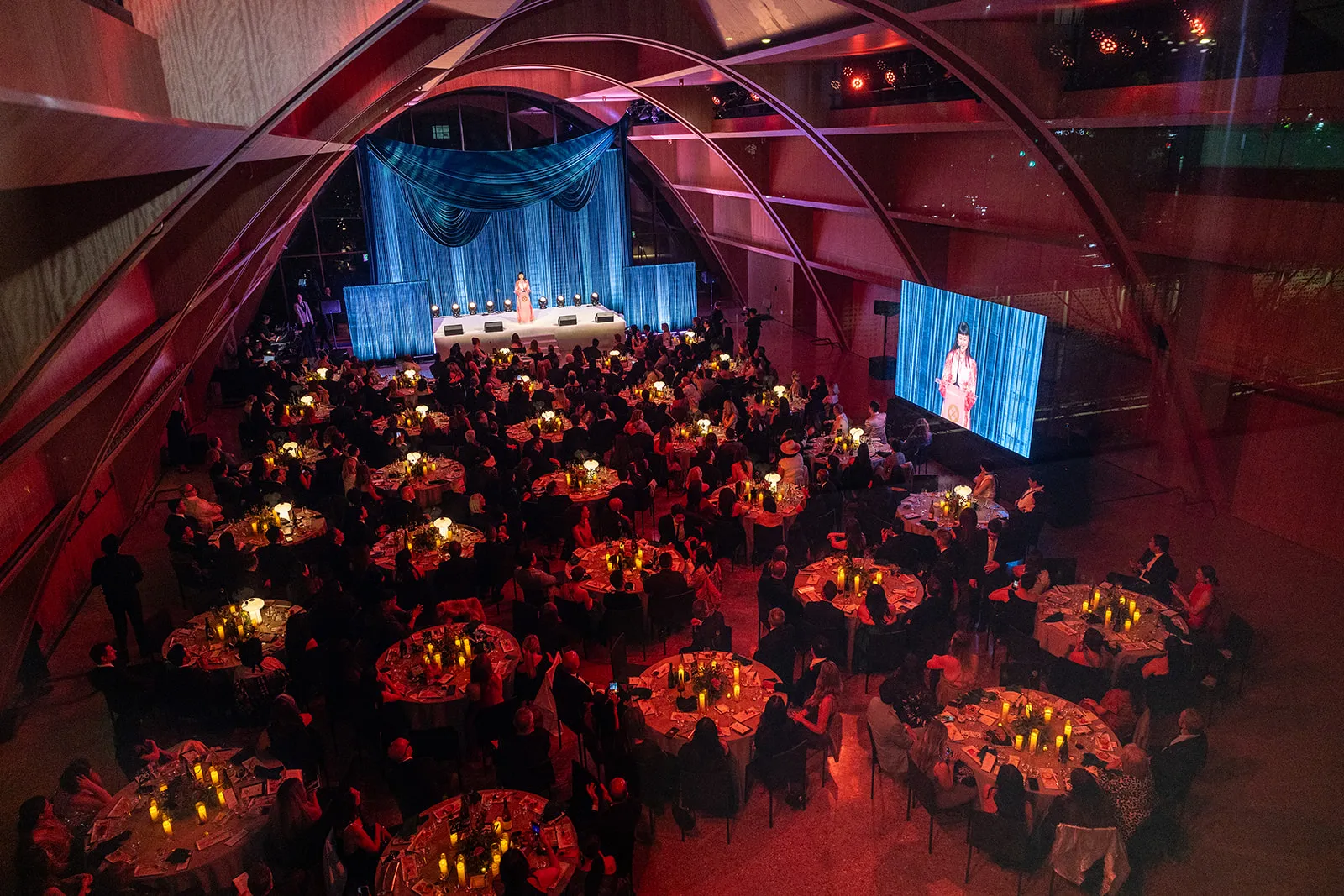 A Symphony of Style: The AAPIDA Gala's Resplendent Revelry 9
