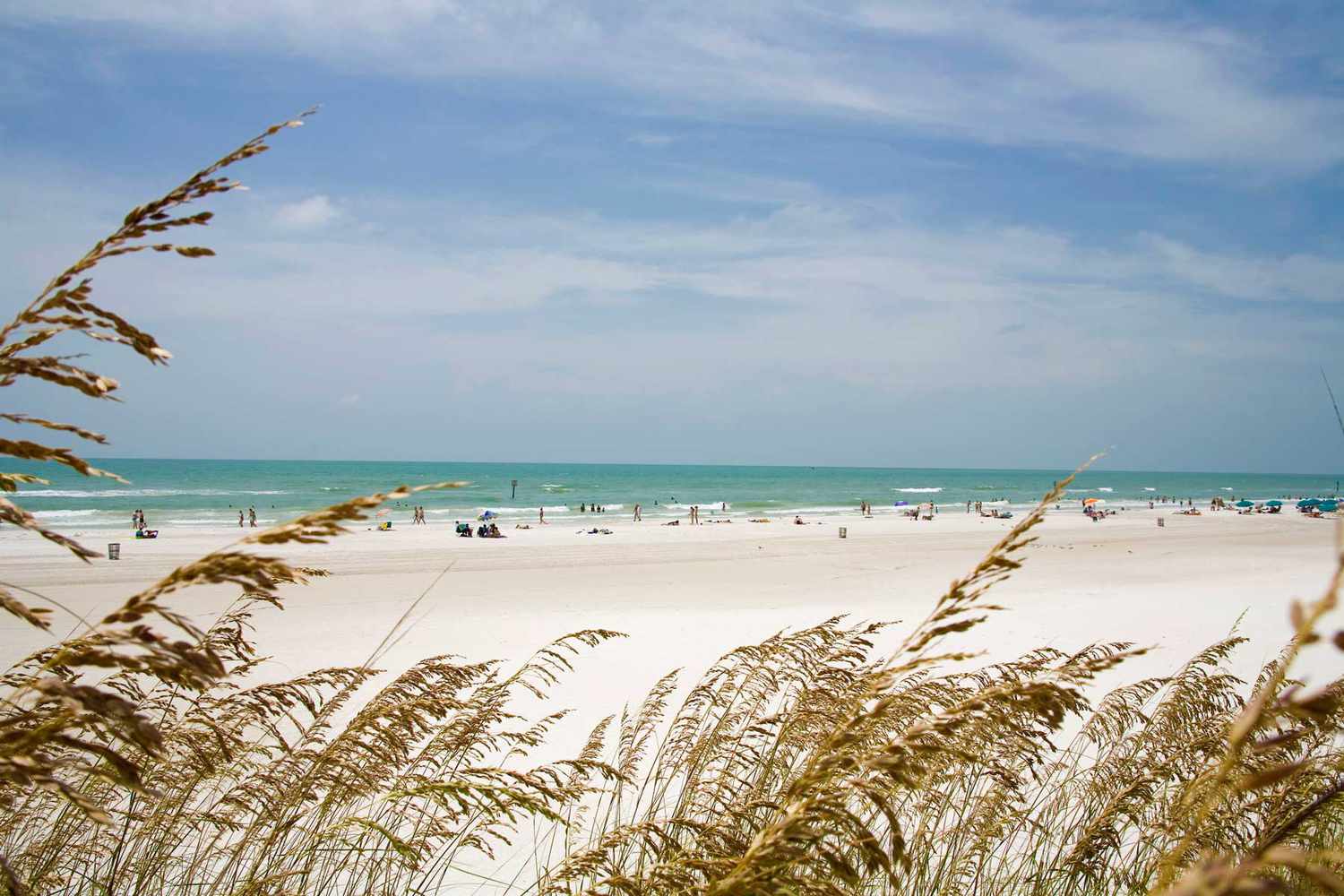 America's Emerald Shores: Beyond the Horizon's Pristine American Coasts 29