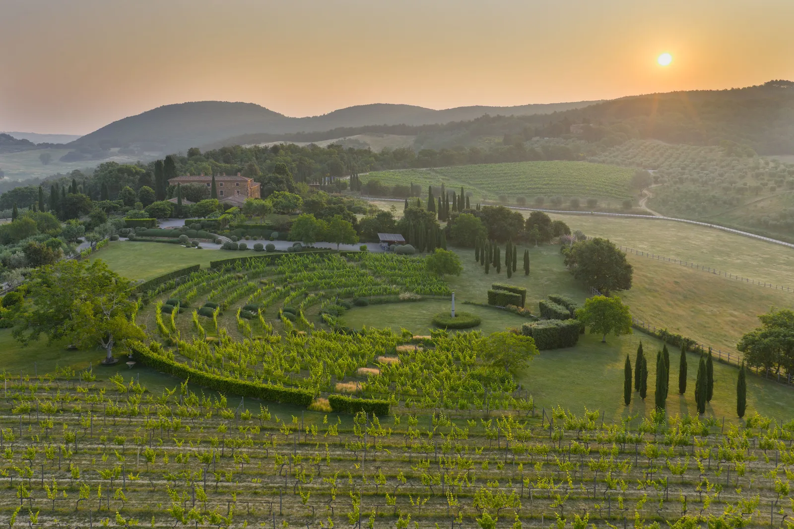 Tuscan Legacy: Where Centuries Converse with Contemporary Canvas 18