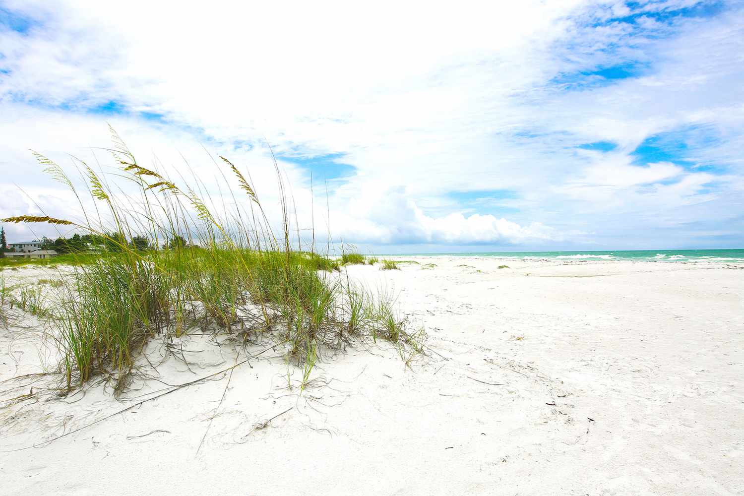 Florida's Secret Shores: Unveiling Unspoiled Escapes Beyond the Tourist Trail 37