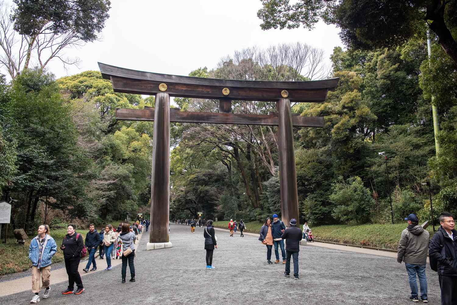 Tokyo's Undiscovered Soul: Insider Secrets from a Local Luminary 19
