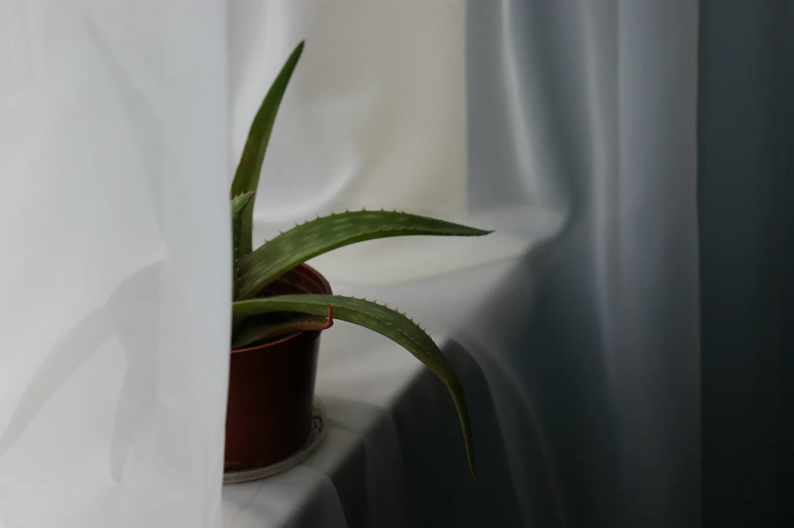 Emerald Elixir: Cultivating Heritage, Nurturing Elite Living 16