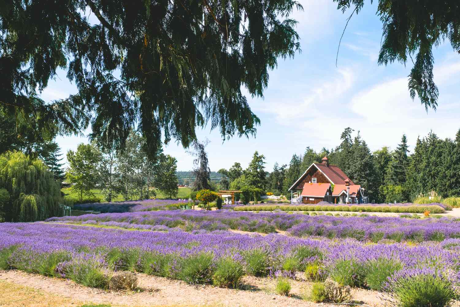 Enchanting Enclaves: Discover the Pacific Northwest's Most Captivating Coastal Gems 15
