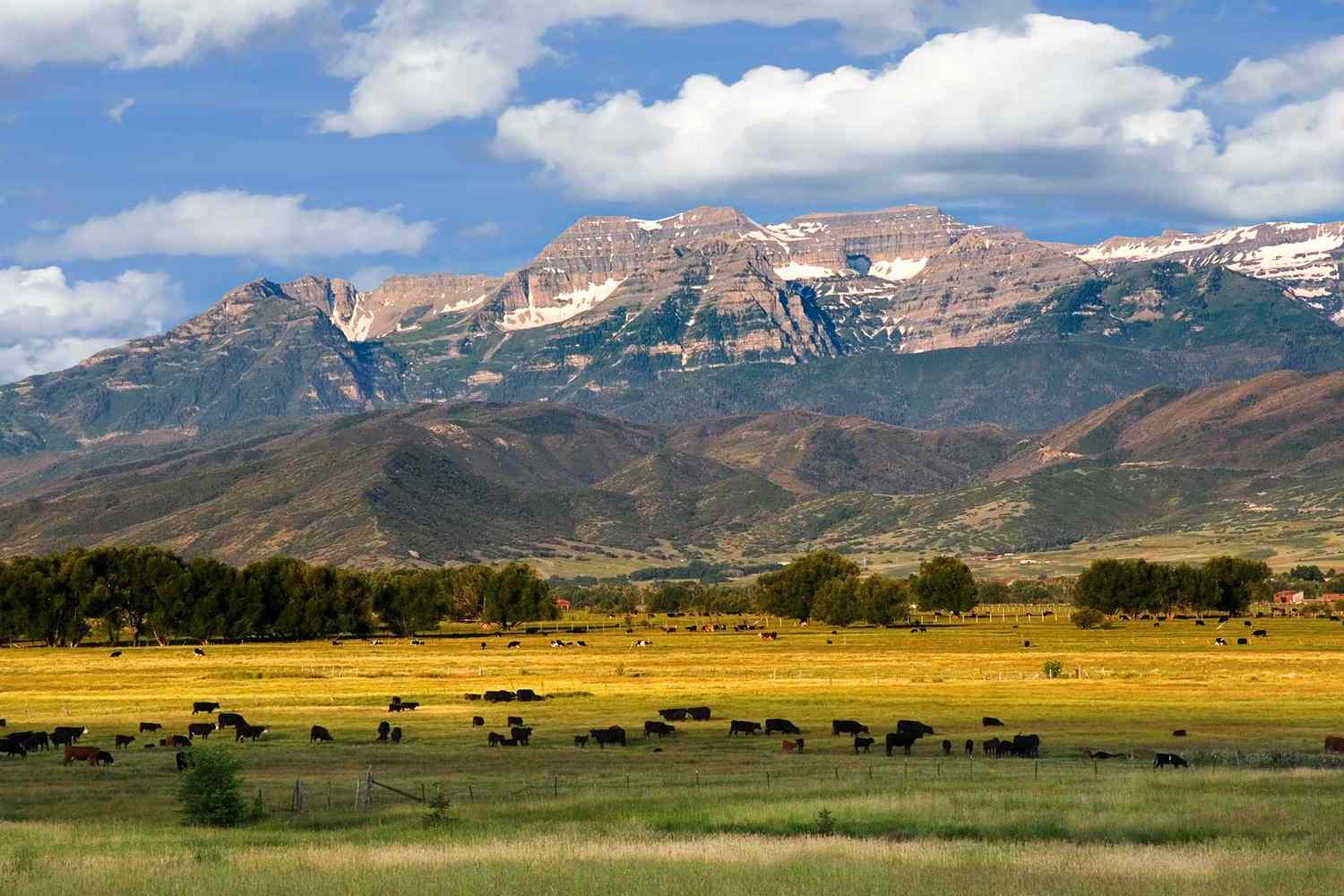 Utah's Emerald Gems: Beyond the Parks to Uncharted Turquoise Havens 46