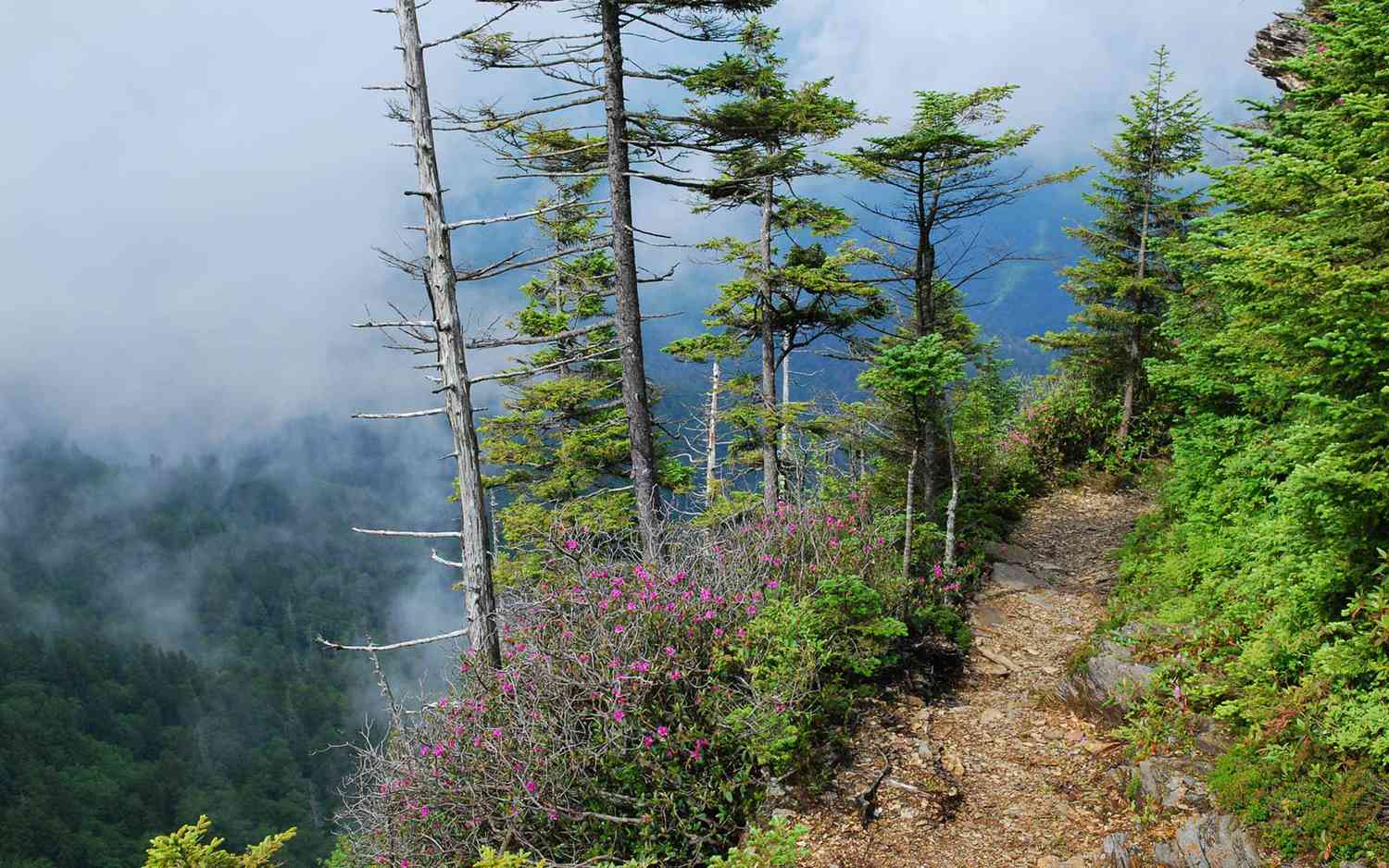 Conquer America's Wild Soul: A Saga of Iconic Trails 26