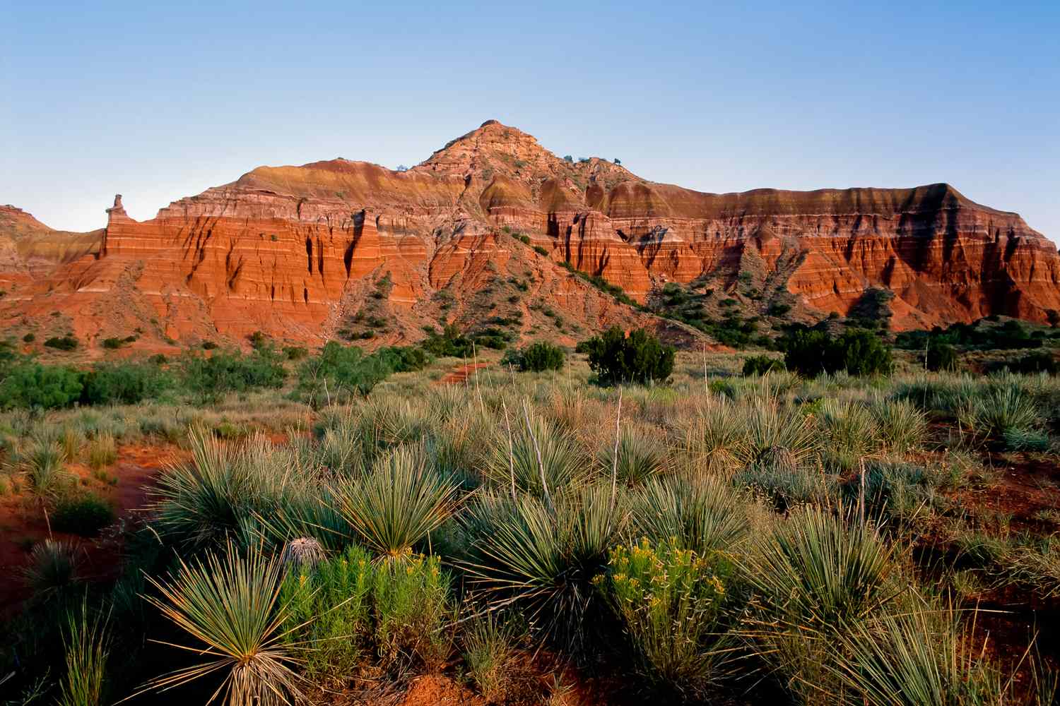 Whispers from the Grand Canyon of Texas: Unveiling Palo Duro's Secrets 6
