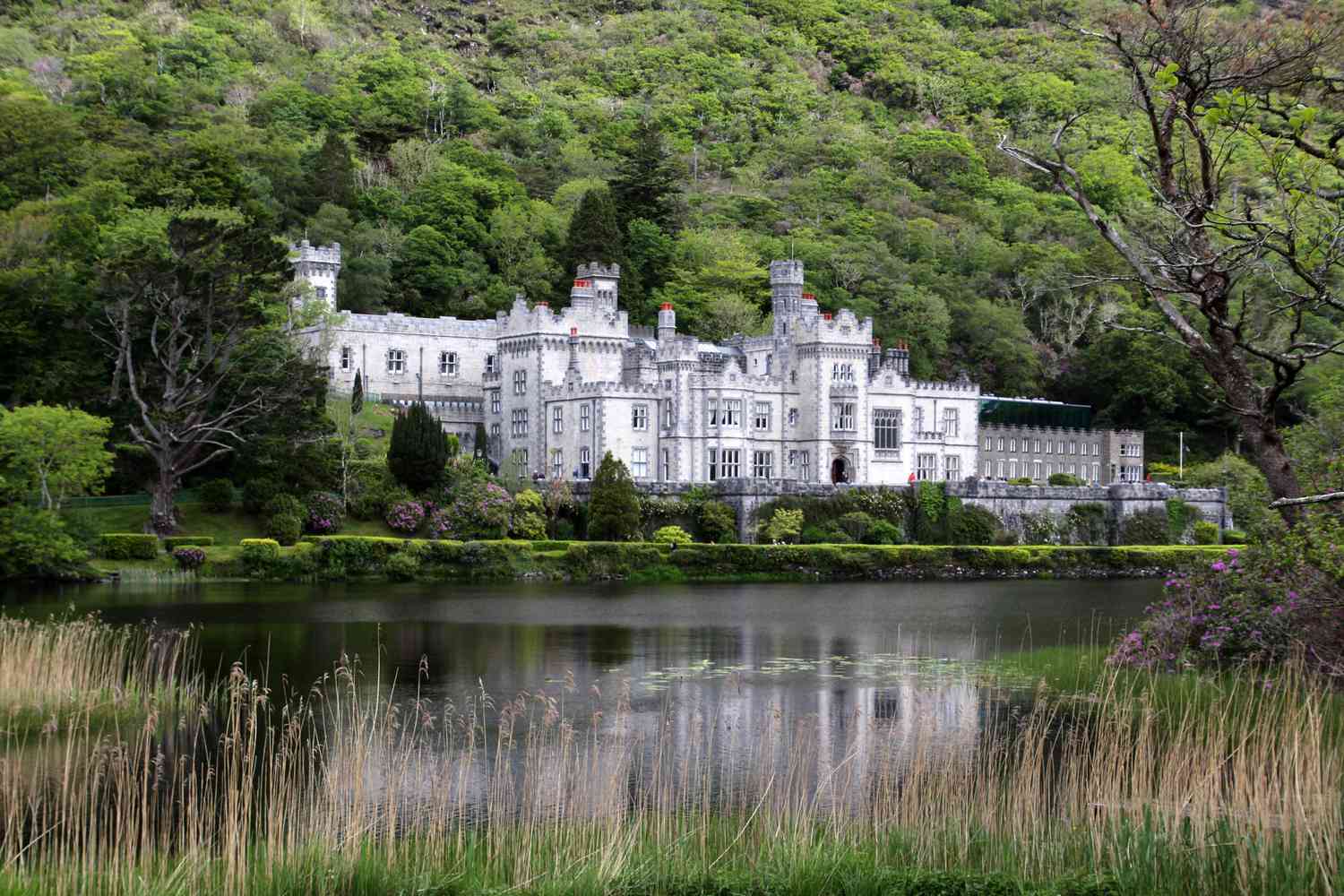 Emerald Isles & Regal Estates: Unveiling Ireland's Most Enchanting Castle Escapes 22