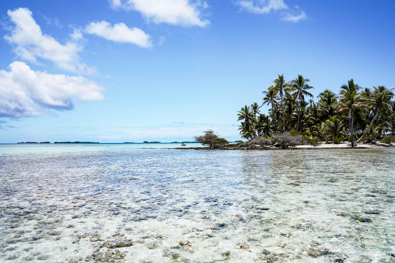 Whispers of Paradise: Unveiling the Maldives' Chic, Budget-Friendly Counterparts 12