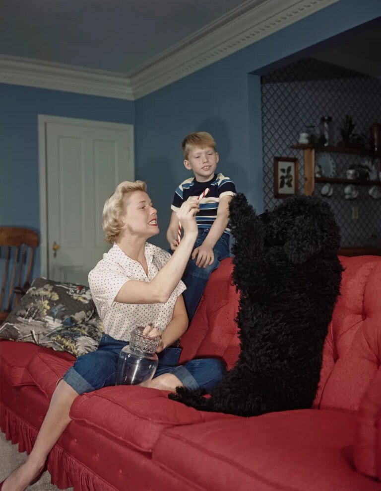 Golden Age Icon: Doris Day's sun-drenched California sanctuary, captured. 156