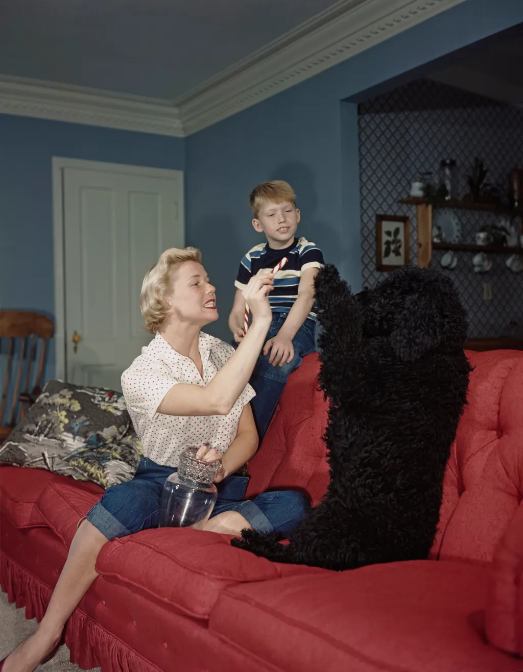 Golden Age Icon: Doris Day's sun-drenched California sanctuary, captured. 21