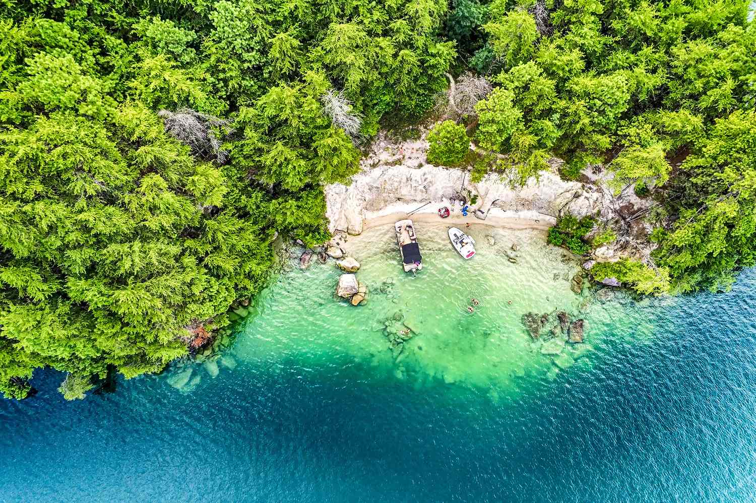 Whispers of a Lost World: Dive into South Carolina's Ethereal, Submerged Ghost Town 7