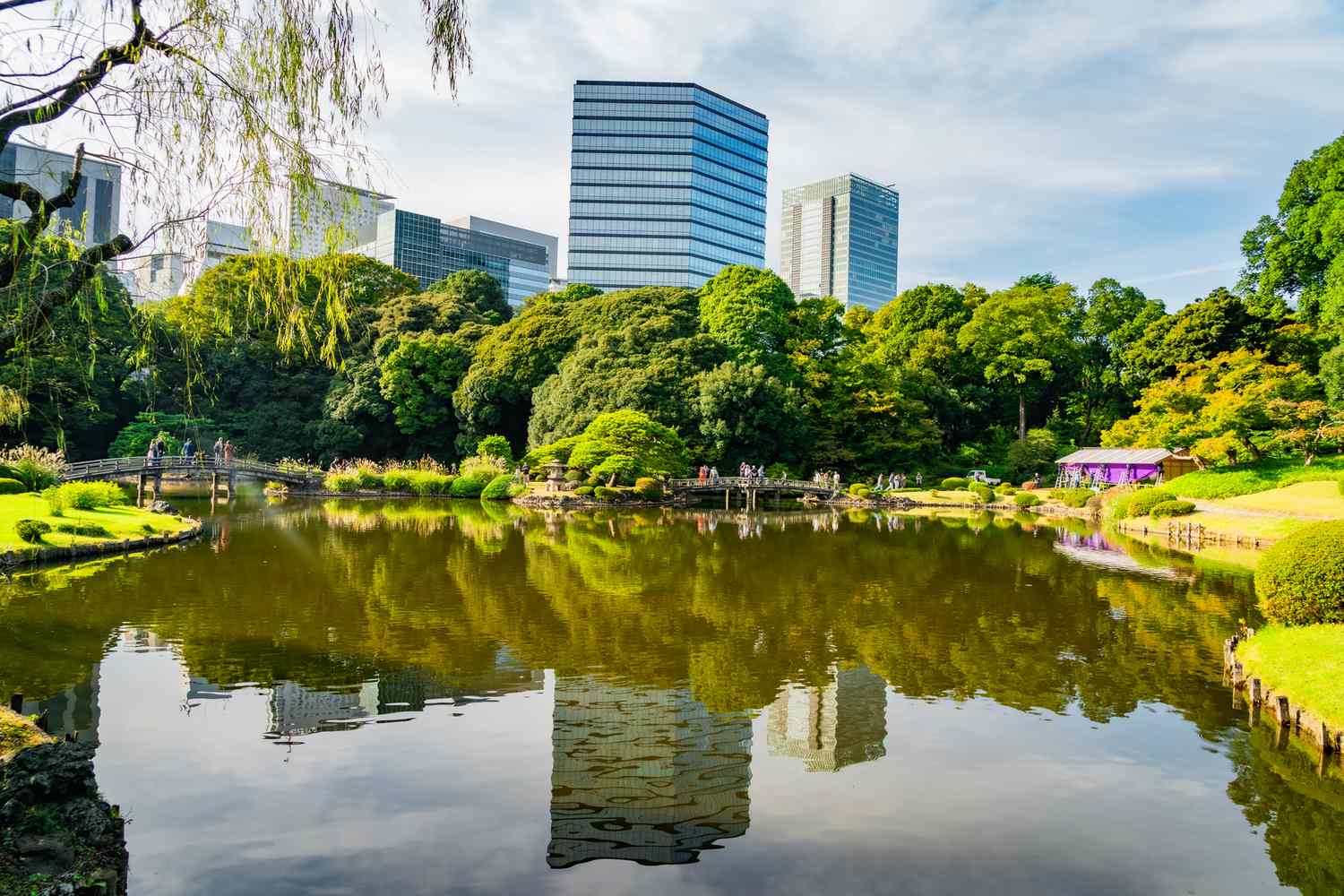Tokyo's Undiscovered Soul: Insider Secrets from a Local Luminary 24