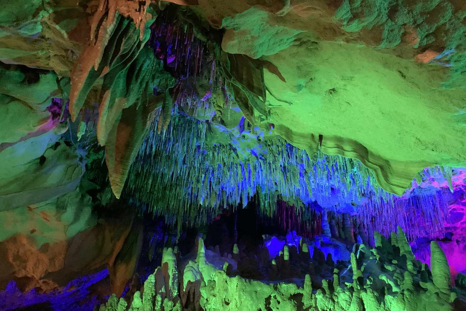 Florida's Secret Shores: Unveiling Unspoiled Escapes Beyond the Tourist Trail 28