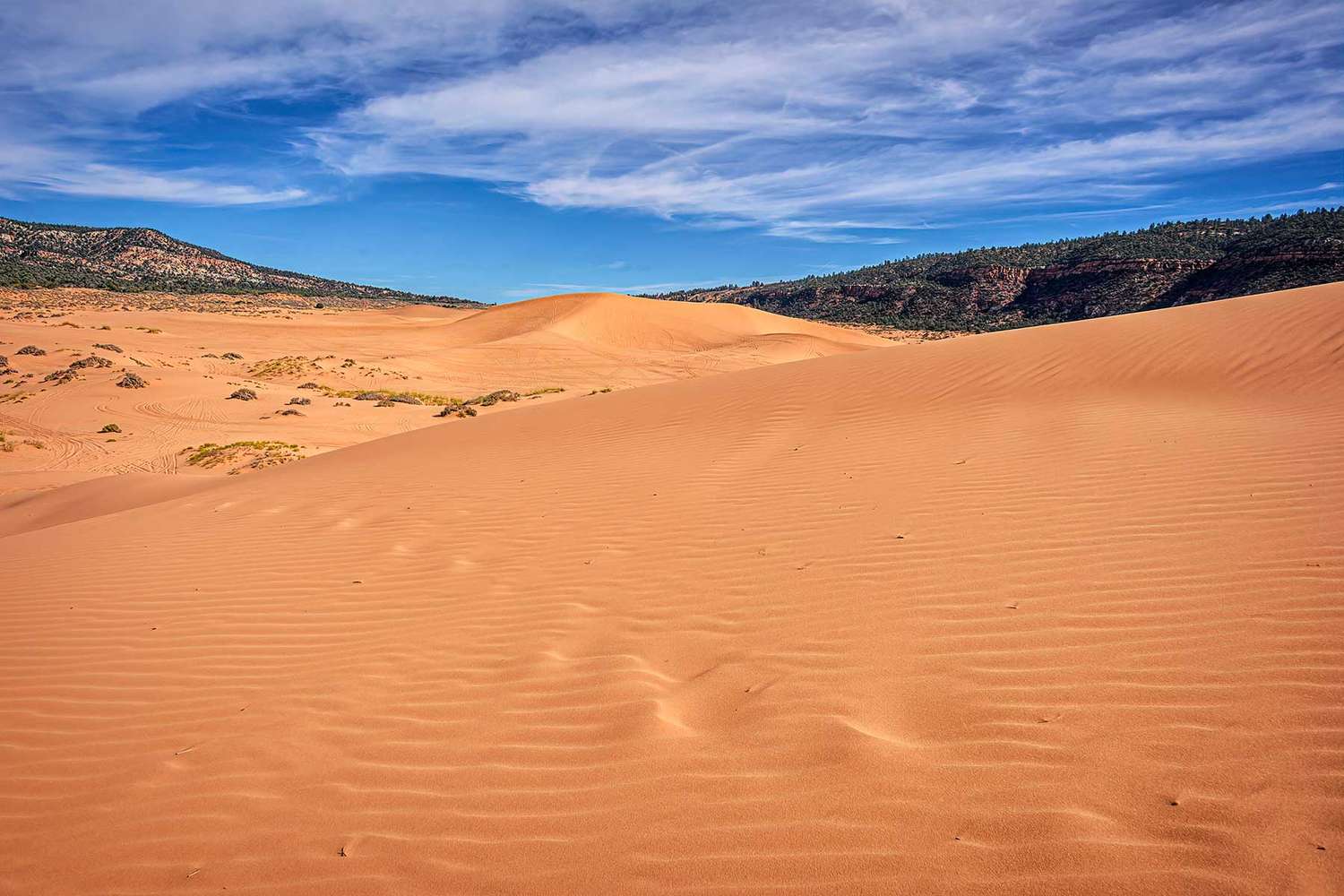 Utah's Emerald Gems: Beyond the Parks to Uncharted Turquoise Havens 39