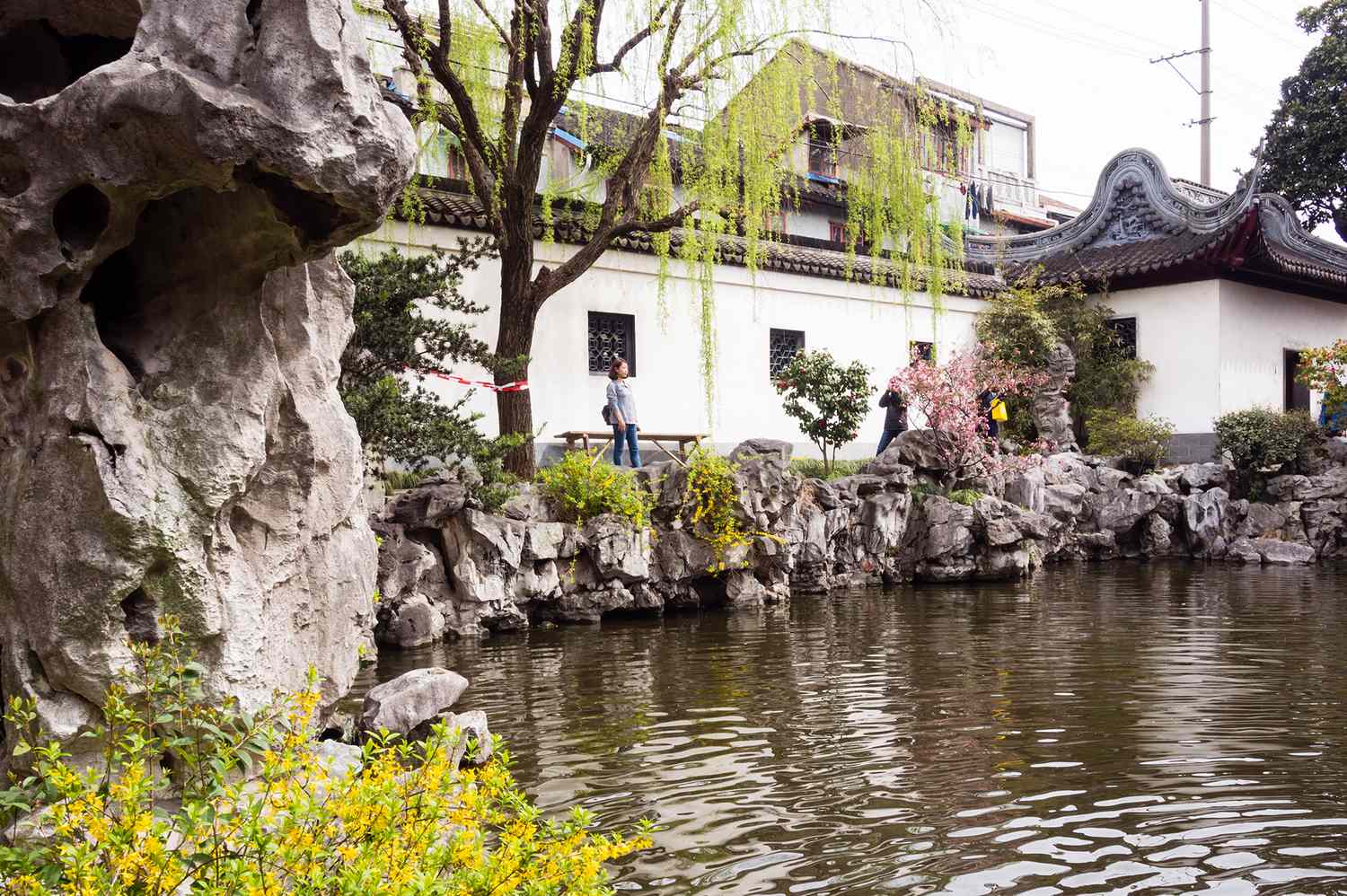 Beyond Japan: Discover Asia's Unrivaled Cherry Blossom Sanctuaries 8