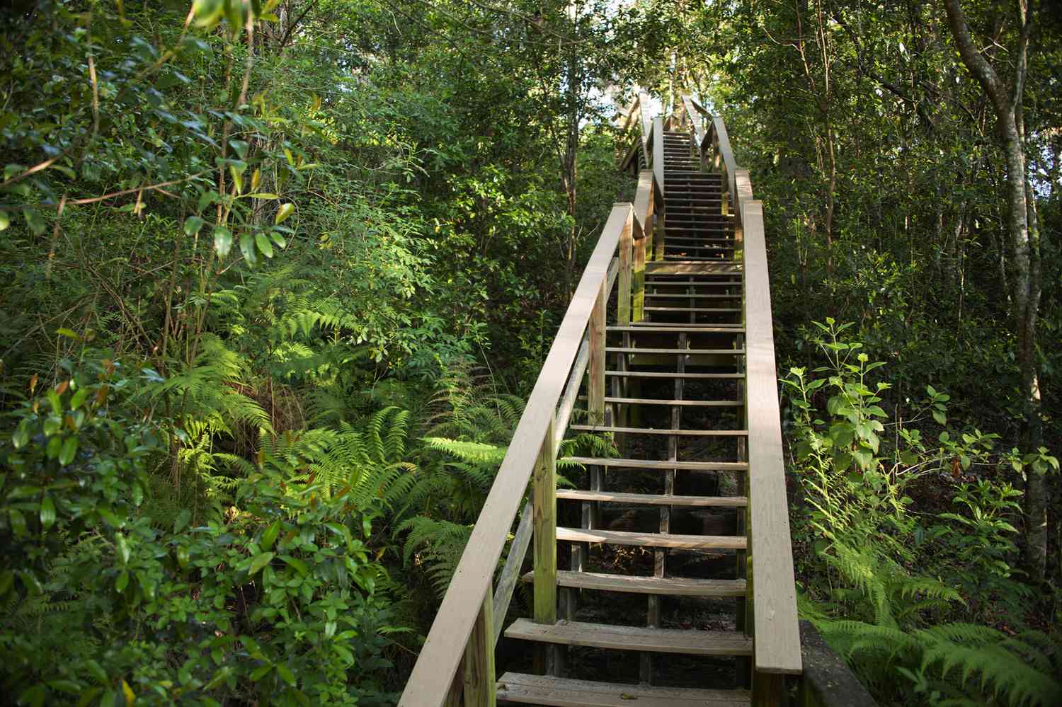 Florida's Secret Shores: Unveiling Unspoiled Escapes Beyond the Tourist Trail 32