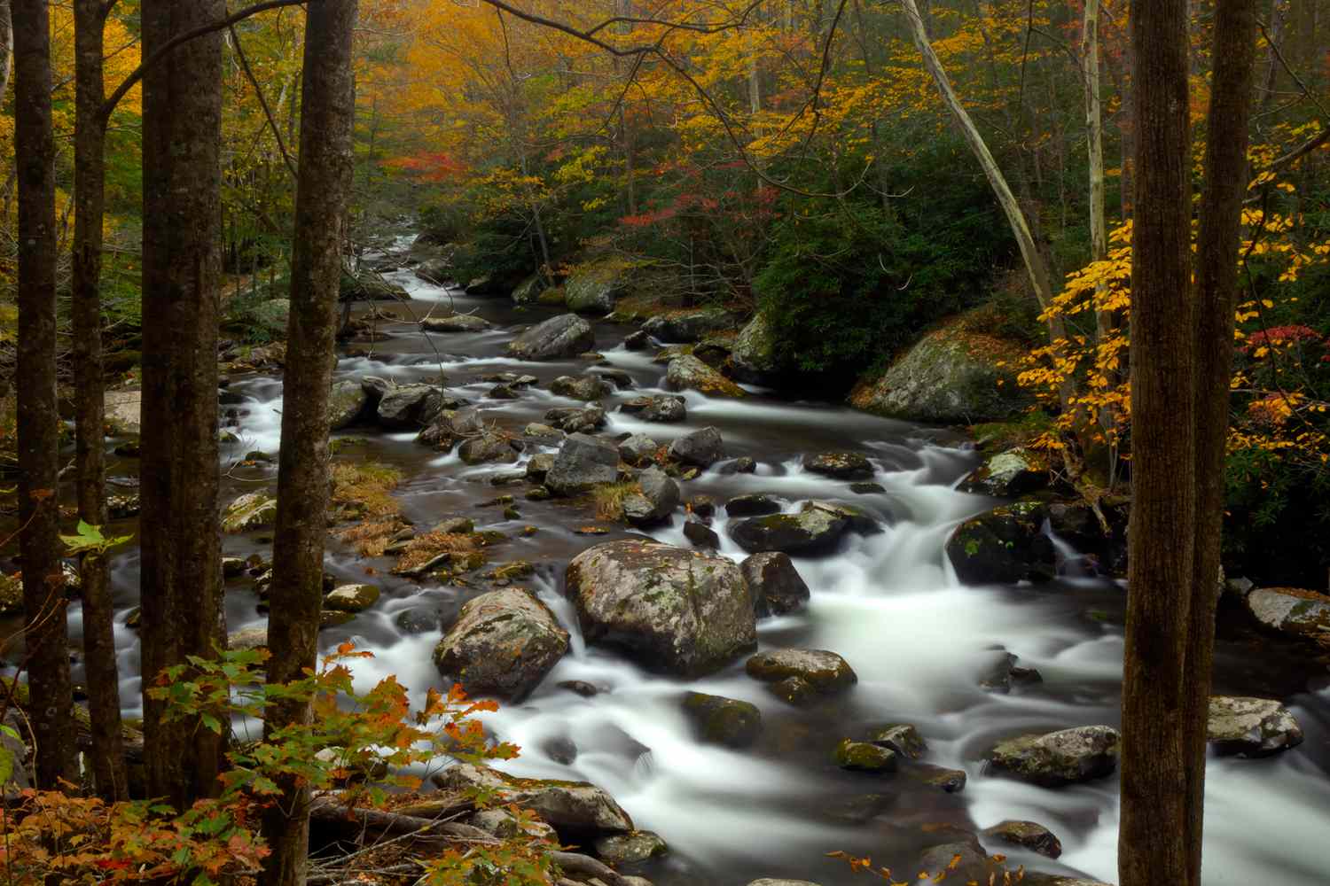 Whispers of the Smokies: Discover Tennessee's Most Exclusive Mountain Escapes 18