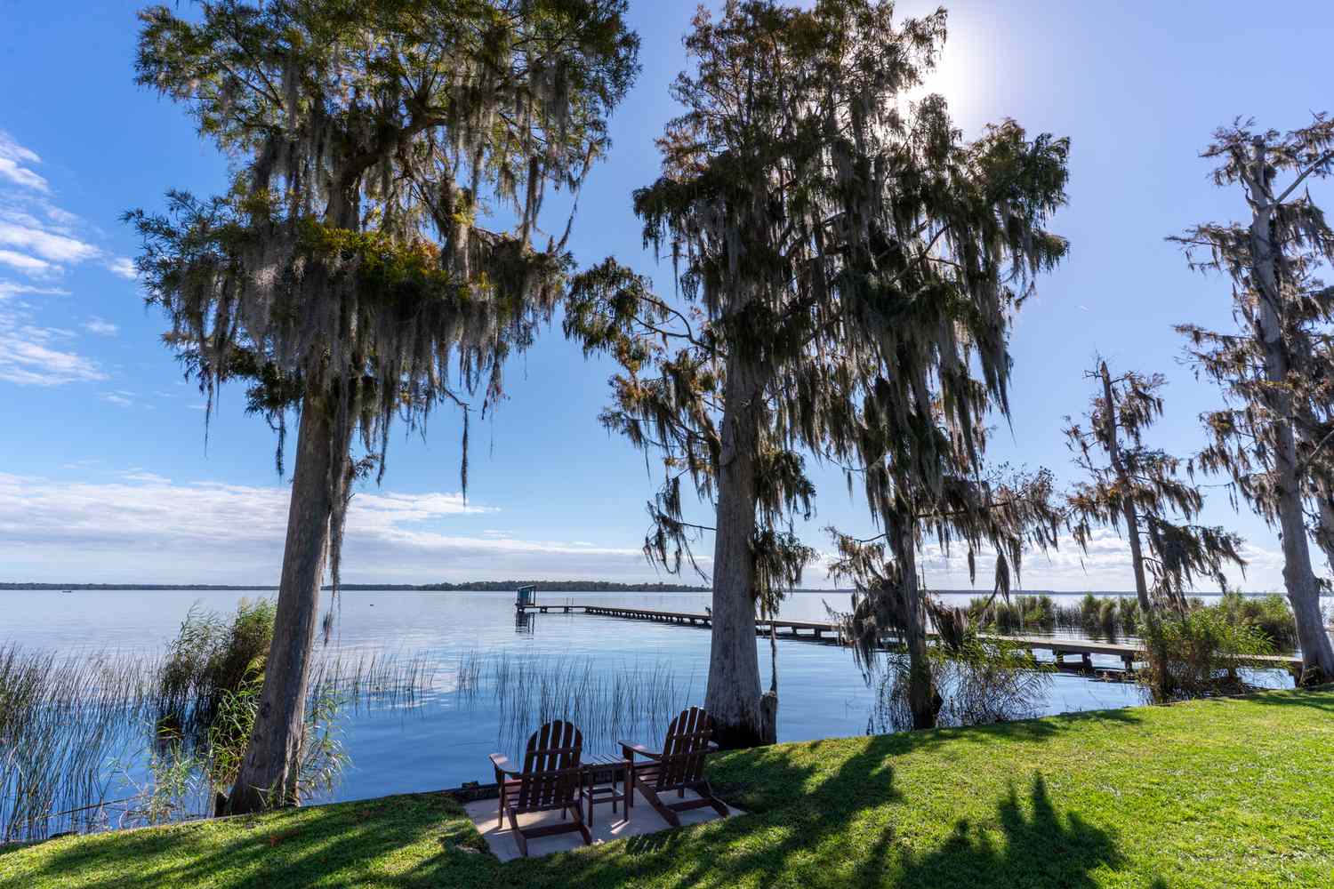 Whispers of the Water: Discover Florida's Secret Lake Havens 15