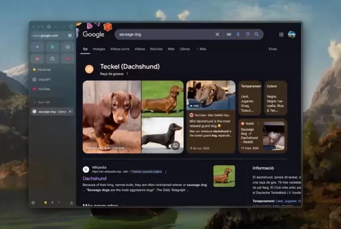 Browser Market Evolution: Charting the Ascendant Alternatives to Dominant Players in 2026 22 Browser Market Evolution: Charting the Ascendant Alternatives to Dominant Players in 2026 22