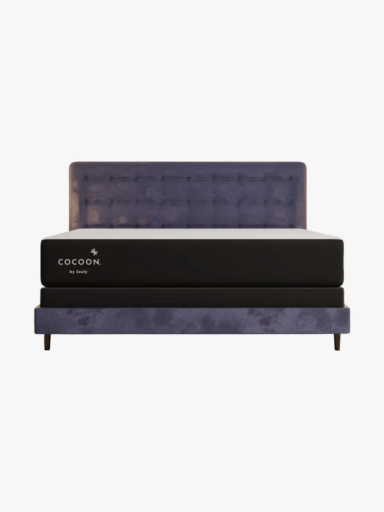 Timeless Estates, Elevated Sleep: Curated Comfort for the Connoisseur 28