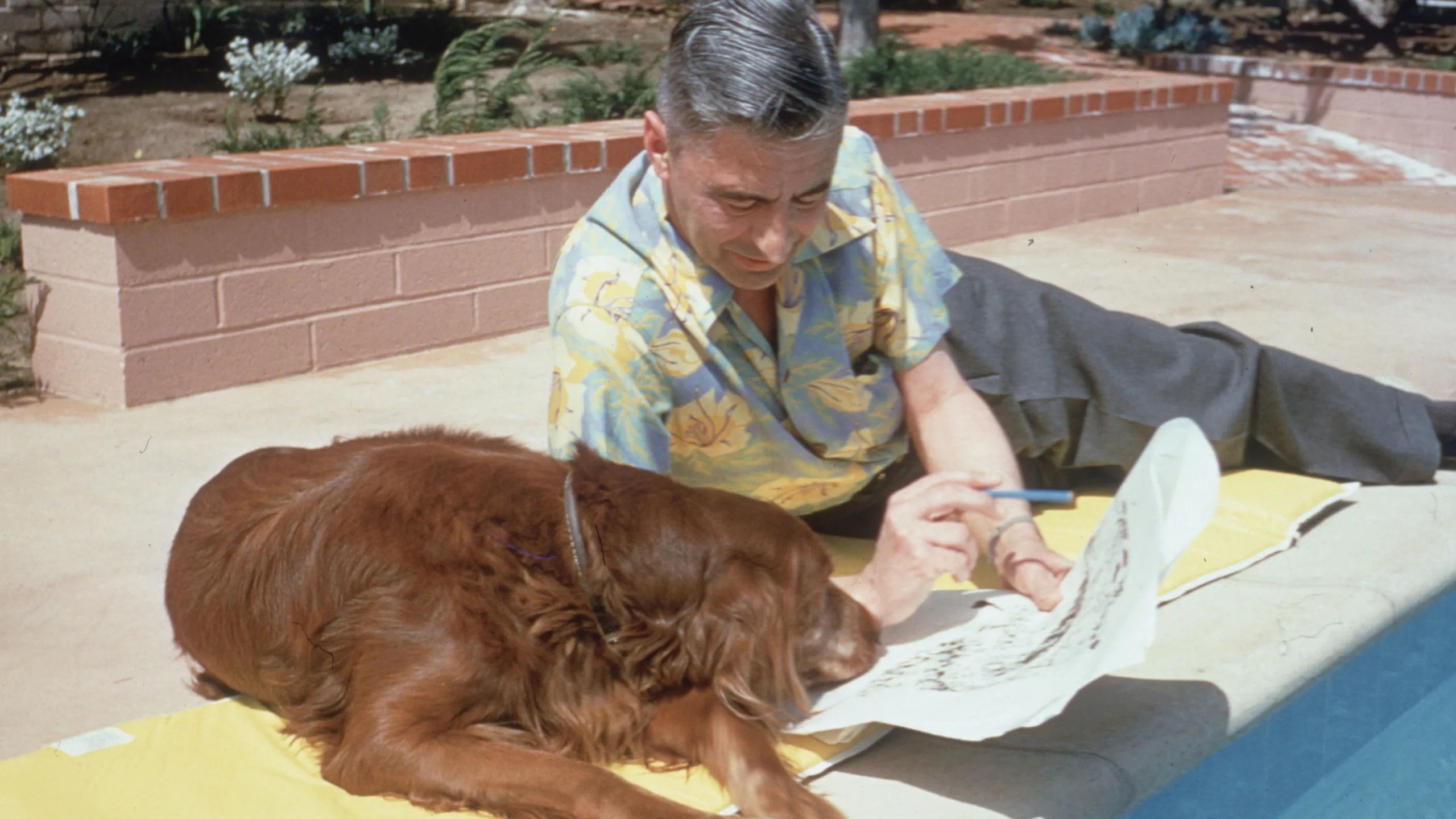 Seuss's Sanctuary: A Whimsical Estate's $9 Million Legacy Sale 5