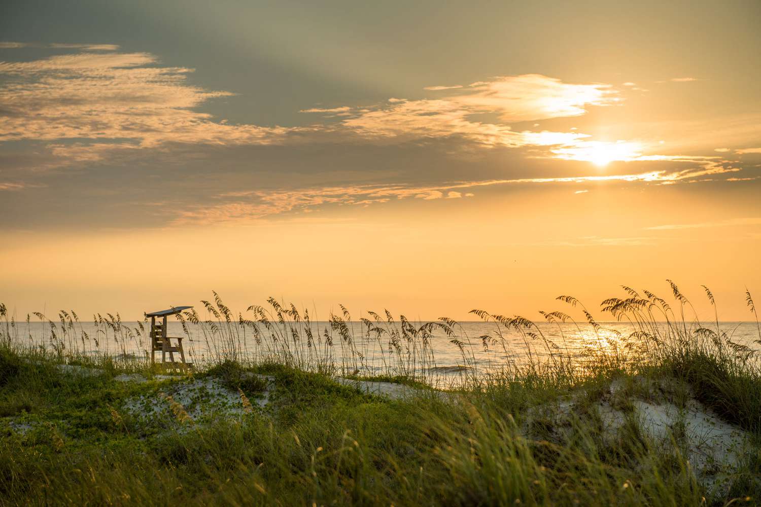 Coastal Carolina's Crown Jewels: Discover North Carolina's Most Exclusive Sands 19