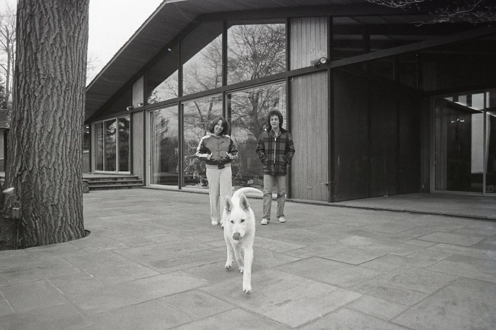 Architectural Legacies: Billy Joel's Estate of Artistry and Elite Living 7