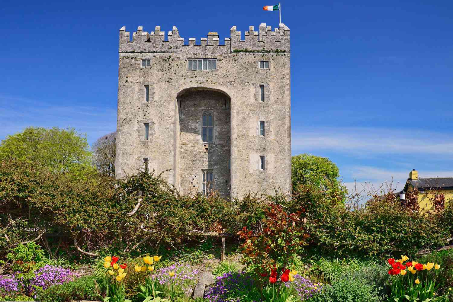 Emerald Isles & Regal Estates: Unveiling Ireland's Most Enchanting Castle Escapes 28