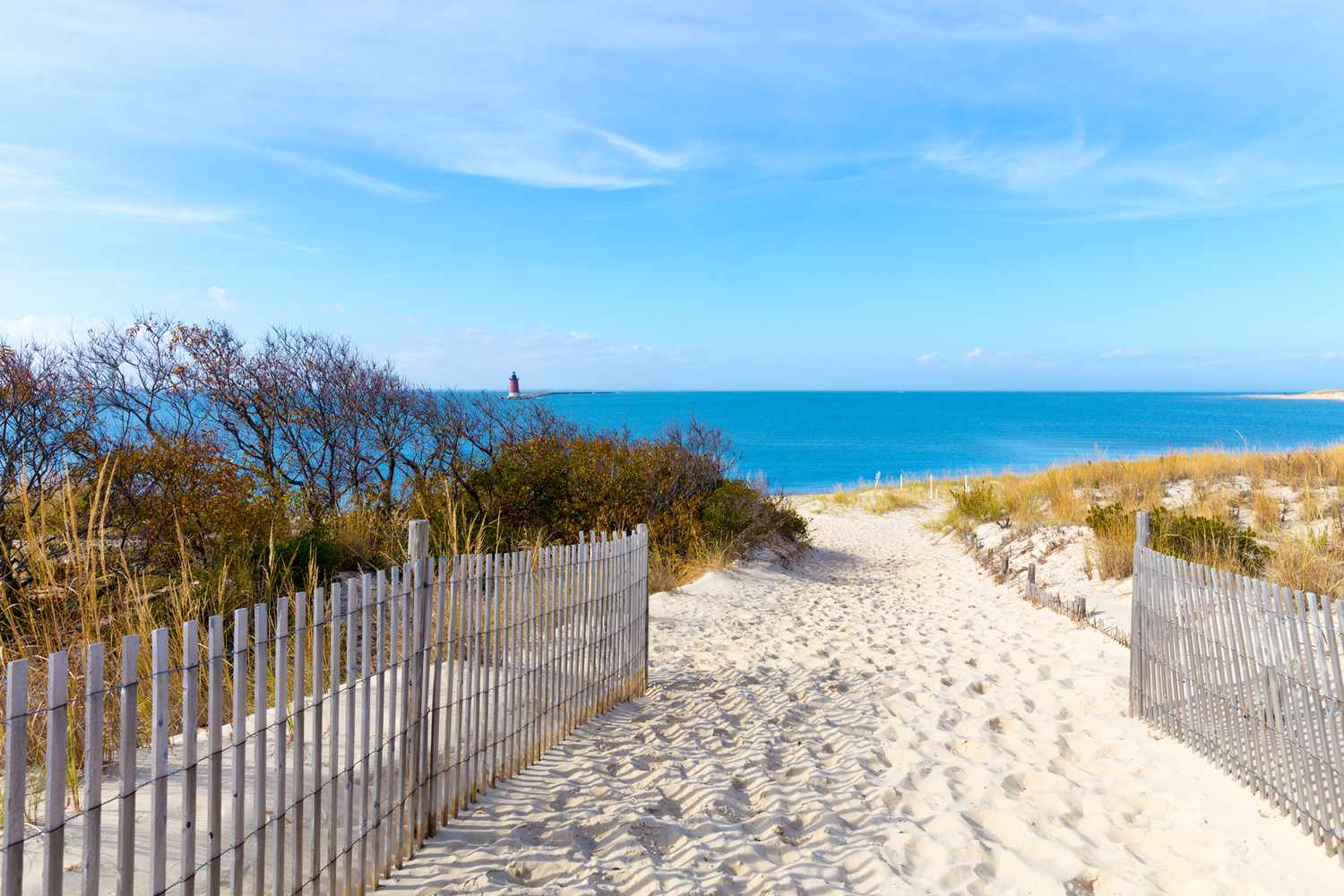 Coastal Chic: Unveiling Lewes, Delaware's Coastal Charm 6