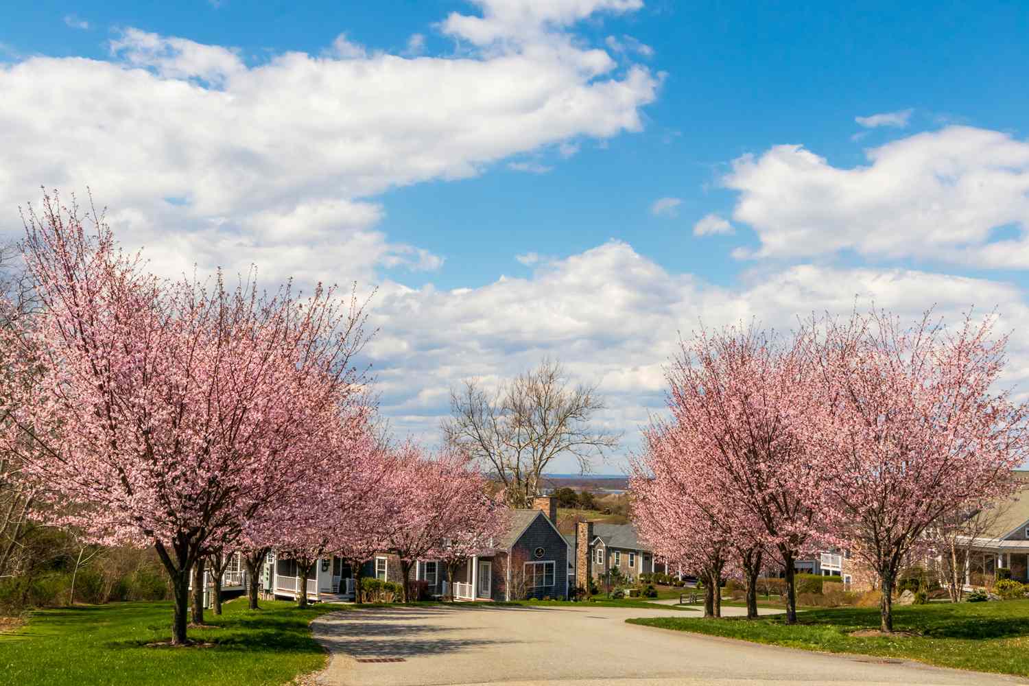 Rhode Island's Enclaves: Where Coastal Charm Meets Hidden Luxury 9