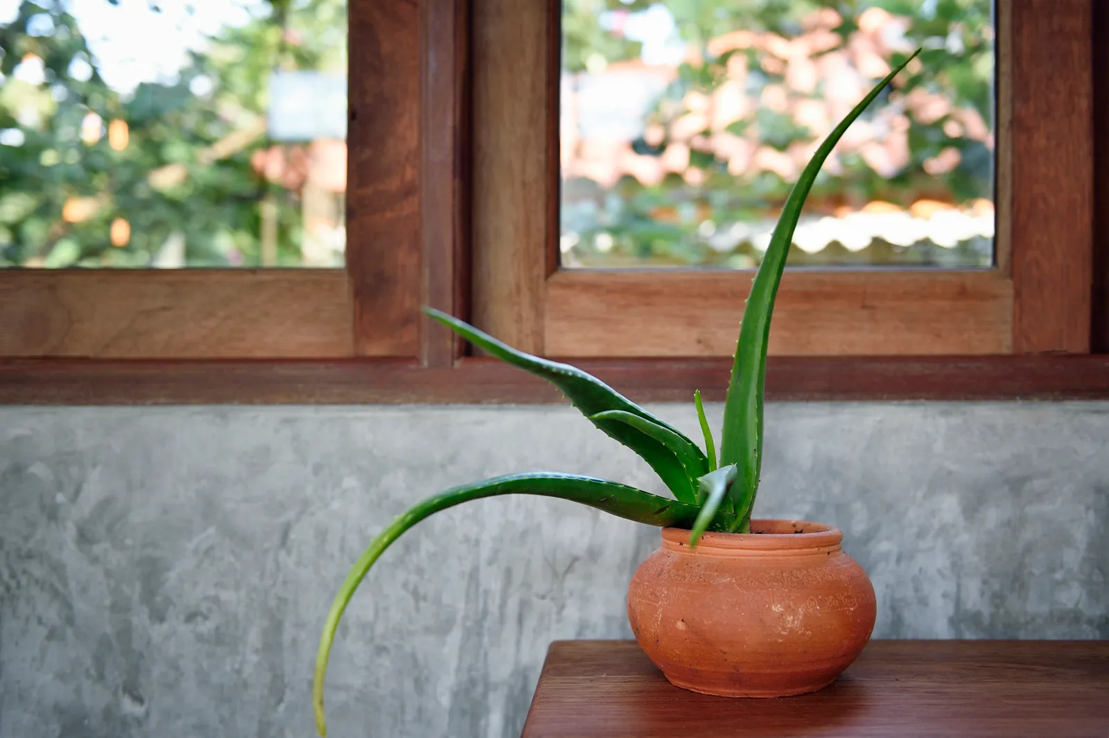 Emerald Elixir: Cultivating Heritage, Nurturing Elite Living 12