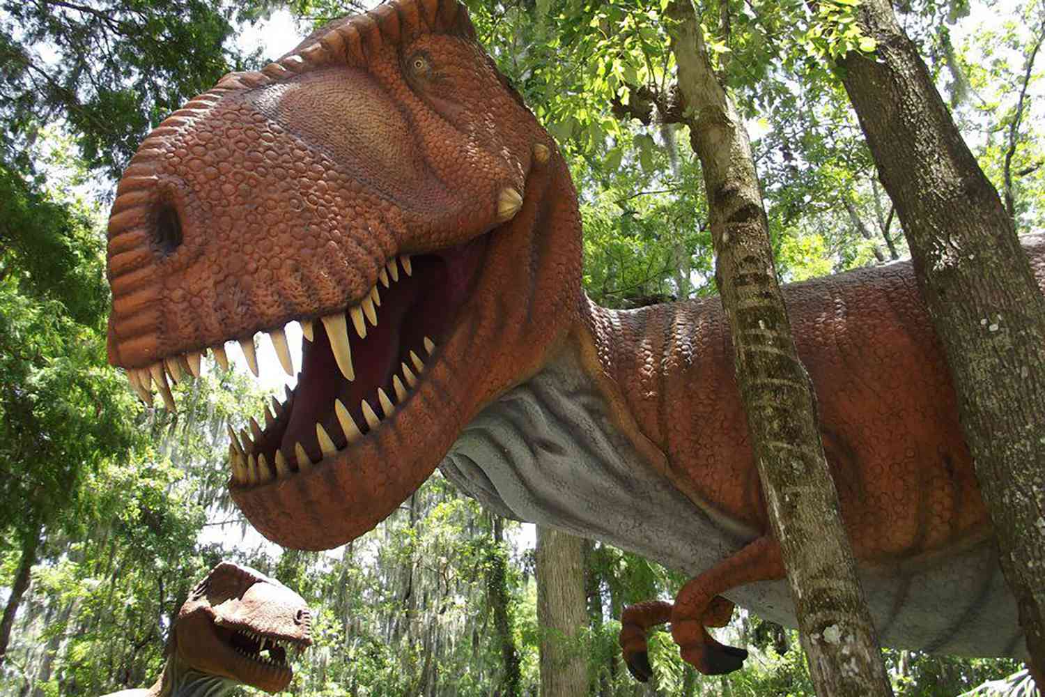 Florida's Secret Shores: Unveiling Unspoiled Escapes Beyond the Tourist Trail 35