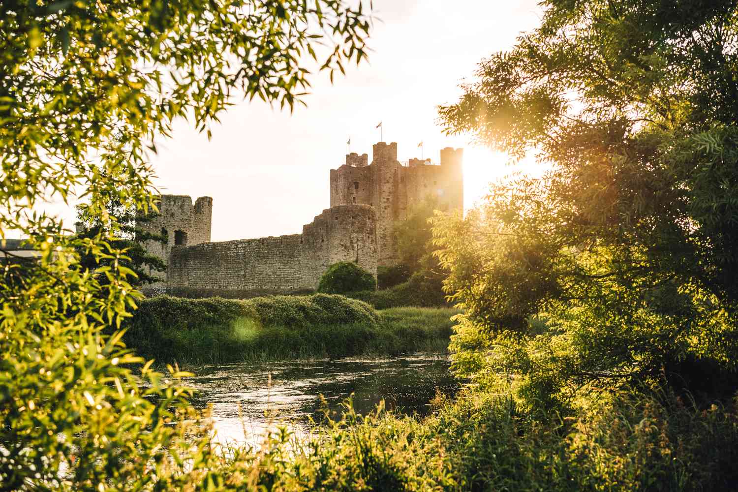 Emerald Isles & Regal Estates: Unveiling Ireland's Most Enchanting Castle Escapes 24
