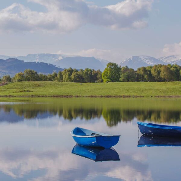 Whispers of the Highlands: Royal Estates, Spirit Sojourns, and Untamed Cairngorms Majesty
