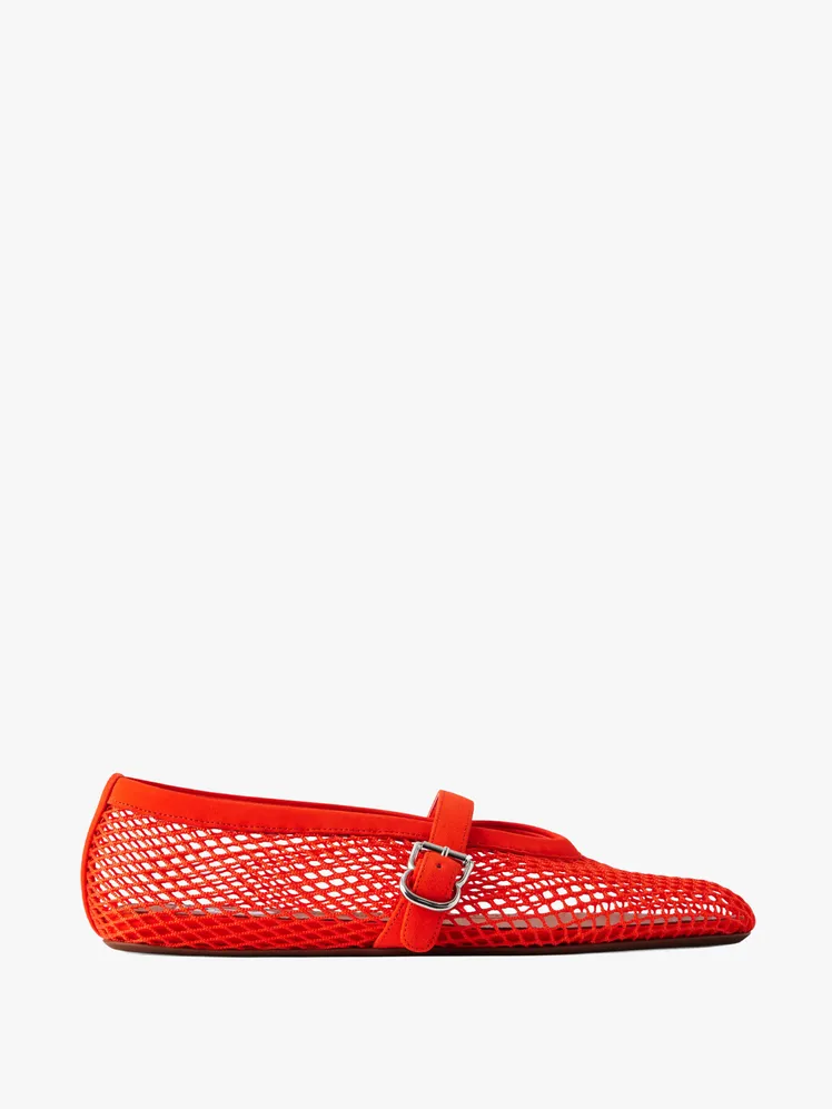 Robbie Solidifies the Ballet Flat's Enduring Allure 28