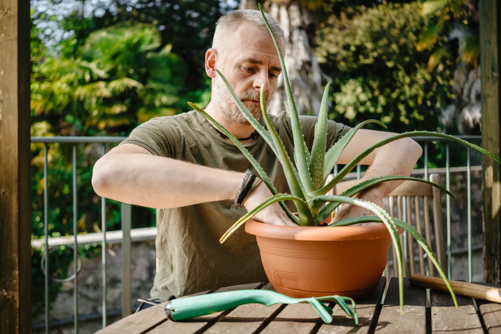 Emerald Elixir: Cultivating Heritage, Nurturing Elite Living 18
