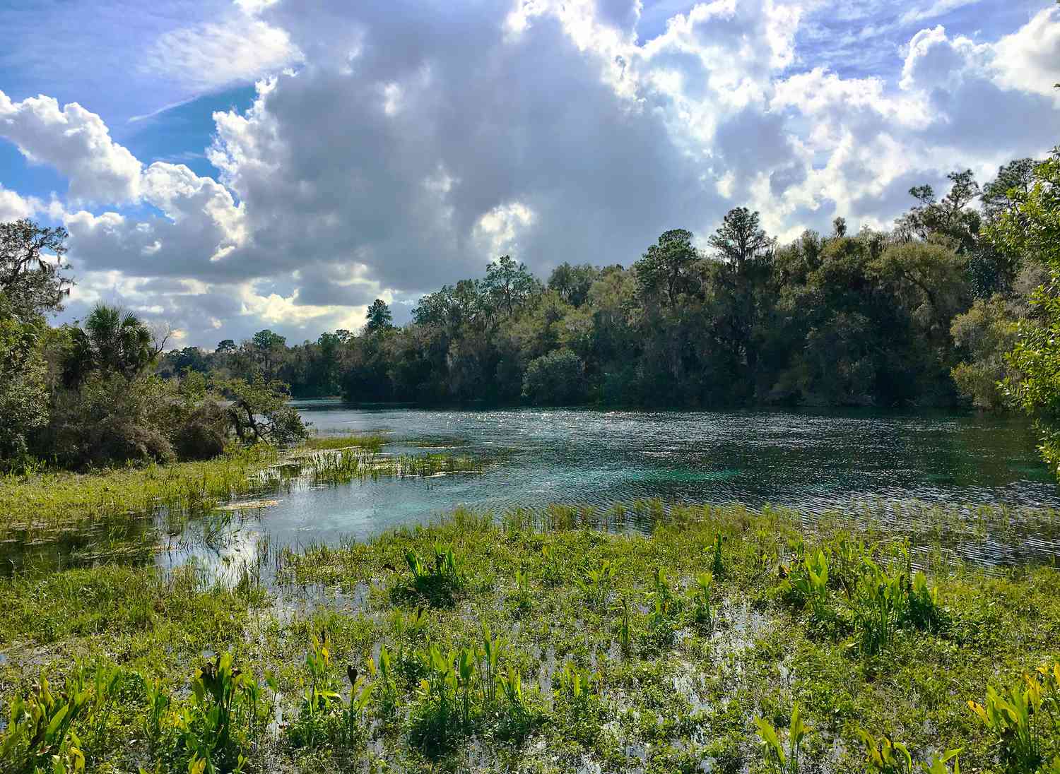 Florida's Secret Shores: Unveiling Unspoiled Escapes Beyond the Tourist Trail 33